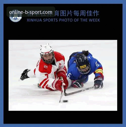 BSport体育与普通体育平台对比：为什么bsport手机版更值得选择？